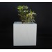 FRP Cube decor & Planter - LP3 - Best Planters