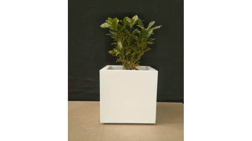 FRP Stone Textured Cube decor & Planter - LP14 - Best Planters